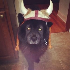 Meet your Posher, Daisy